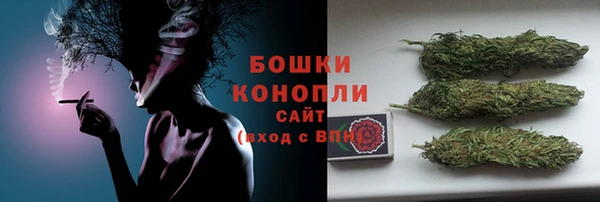 гидра Белокуриха