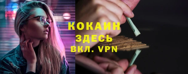 гидра Белокуриха