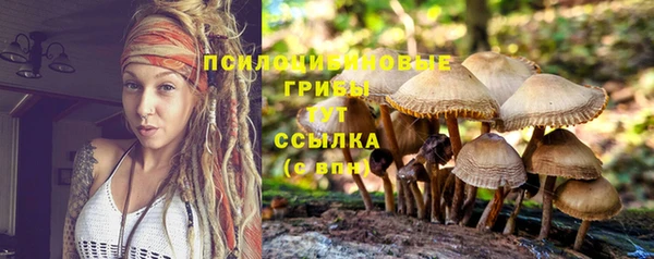 MESCALINE Белоозёрский