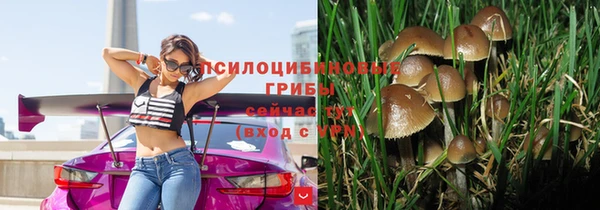 гидра Белокуриха
