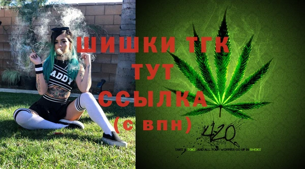гидра Белокуриха