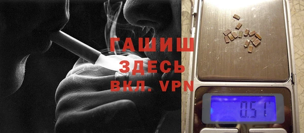 гидра Белокуриха