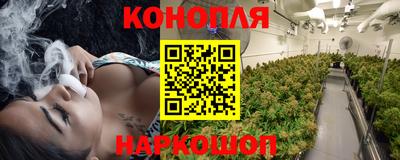 spice Заводоуковск